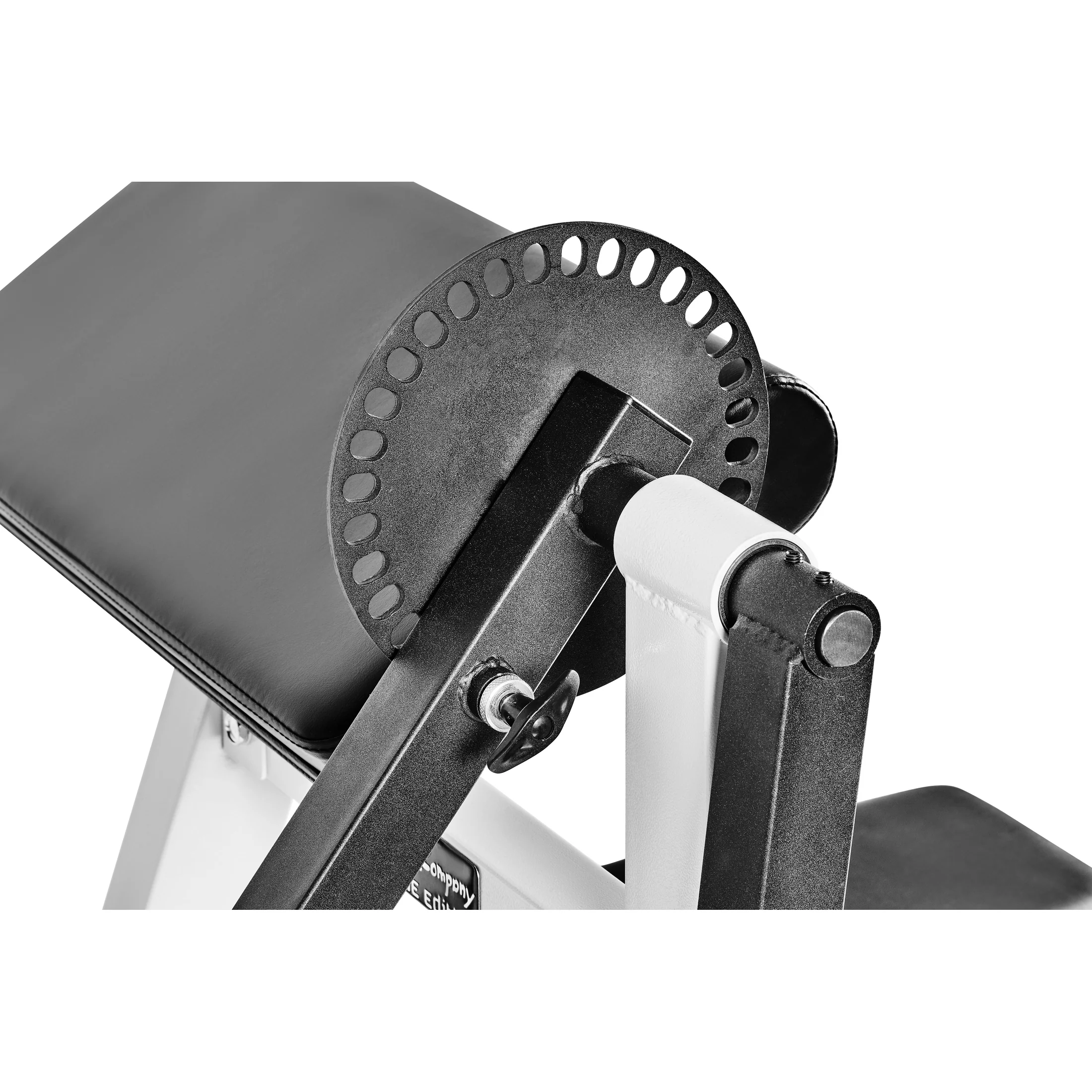 Bizeps/Trizeps Curl Maschine sitzend - Image 7